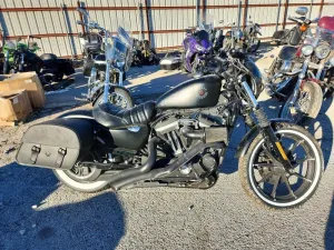 2020 HARLEY-DAVIDSON XL883 N