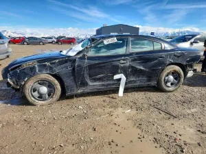 2014 DODGE CHARGER