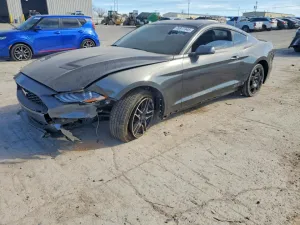 2019 FORD ALL Models