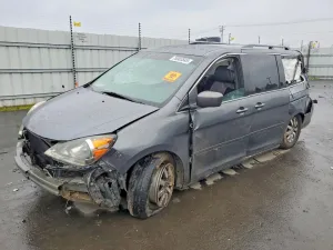 2010 HONDA All Models