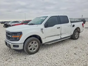 2025 FORD All Models