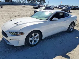 2019 FORD ALL Models