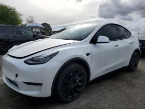2021 TESLA MODEL Y