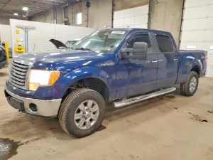 2010 FORD F-150