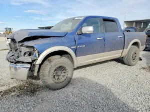 2010 DODGE All Models