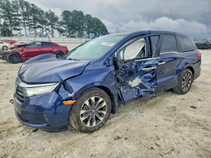 2024 HONDA All Models