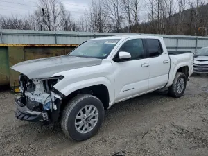 2024 TOYOTA All Models