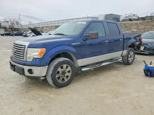 2010 FORD F-150