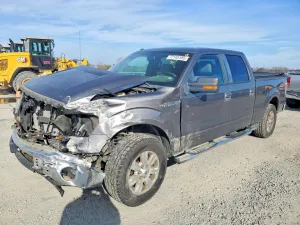 2010 FORD F-150