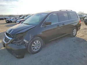 2010 HONDA All Models