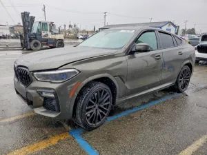 2020 BMW X6