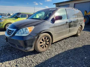 2010 HONDA All Models