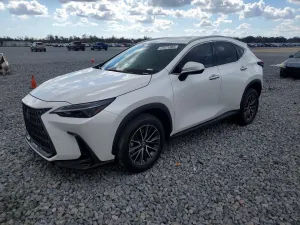 2024 LEXUS NX 250 PRE