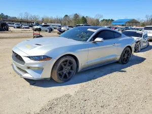 2019 FORD ALL Models