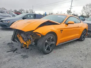 2019 FORD ALL Models