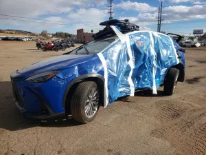 2024 LEXUS NX