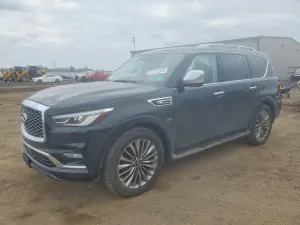 2019 INFINITI QX80