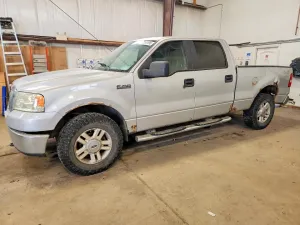 2007 FORD F-150