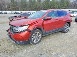 2019 HONDA CRV