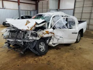 2010 TOYOTA All Models