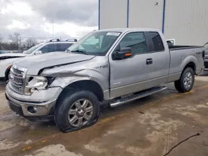 2013 FORD All Models