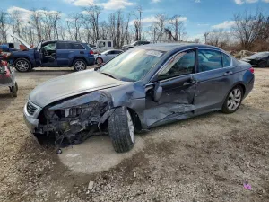 2010 HONDA ACCORD