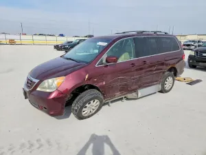 2010 HONDA All Models