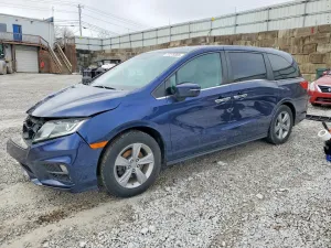 2019 HONDA All Models