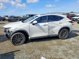 2024 LEXUS NX 350H BA