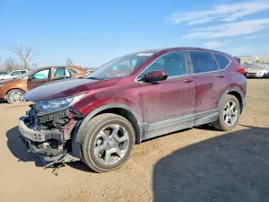 2019 HONDA CRV