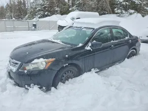 2008 HONDA ACCORD