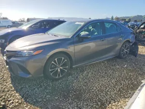 2019 TOYOTA CAMRY