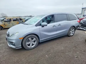 2019 HONDA All Models