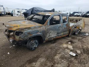 2021 TOYOTA All Models