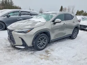 2023 LEXUS NX 350H
