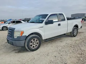 2010 FORD F-150