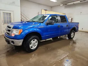 2013 FORD F150