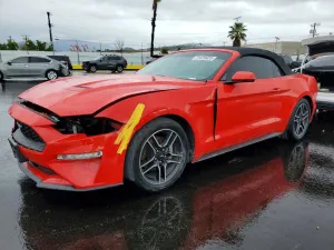 2019 FORD ALL Models