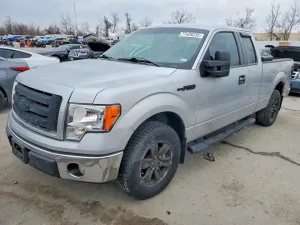 2009 FORD F-150