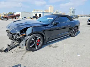 2019 FORD ALL Models