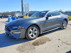 2019 FORD ALL Models