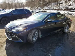 2021 LEXUS ES300