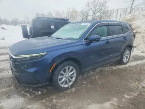 2025 HONDA CRV