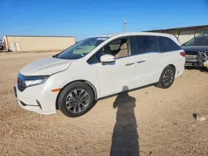 2021 HONDA All Models