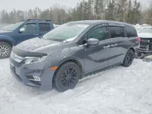 2019 HONDA All Models