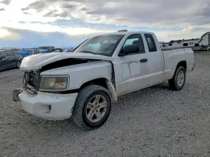 2010 DODGE DAKOTA