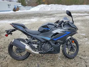 2025 KAWASAKI NINJA 500