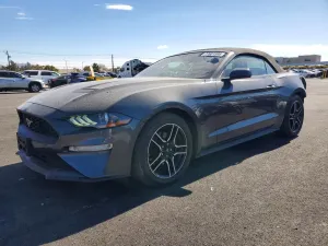 2019 FORD ALL Models