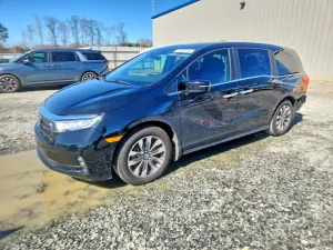 2024 HONDA All Models