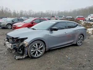 2019 NISSAN MAXIMA